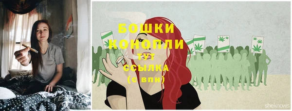 кокс Белокуриха