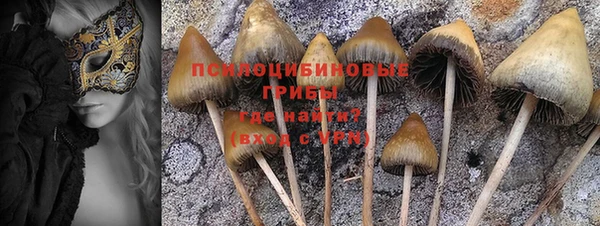 spice Белоозёрский